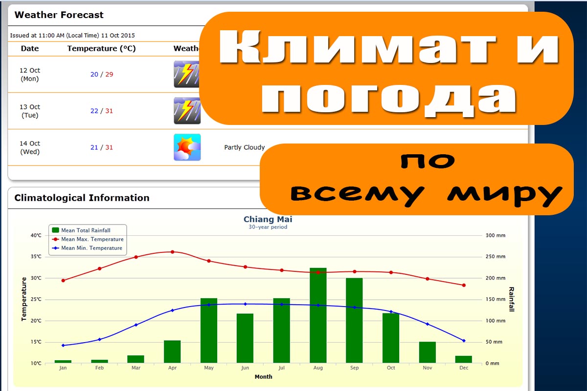 Подстановка данных в excel функция ВПР Очищение от прошлых связей Женский путь к счастью