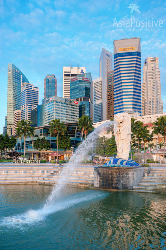 Статуя Мерлион и небоскрёбы Сингапура рано утром | Детальный маршрут по Сингапуру на 2 дня - посетить самые интересные места и посмотреть самые незабываемые достопримечательности Сингапура за 48 часов. | Что посмотреть в Сингапуре за 2 дня | Путешествия по Азии с AsiaPositive.com