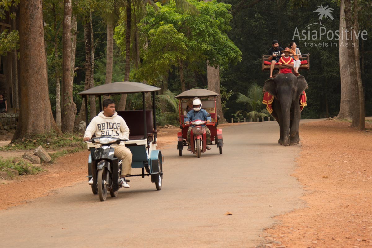Тук-туки  - популярный транспорт для поездок по храмам Ангкора (Камбоджа) | Путешествия с AsiaPositive.com