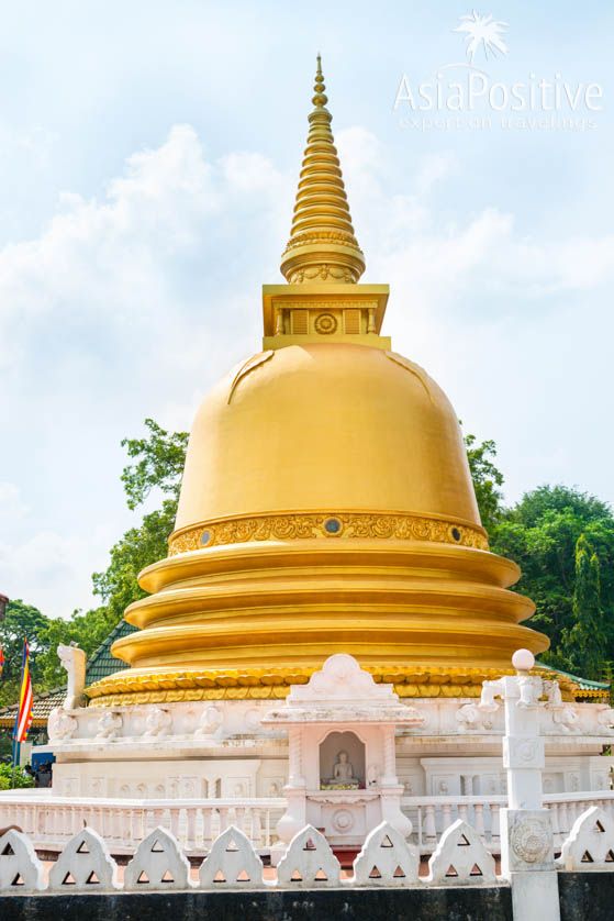 Золотая ступа возле гиганской статуи Будды и Пещерного Храма Дамбулла | Достопримечательности Шри-Ланки | Путешествия AsiaPositive.com