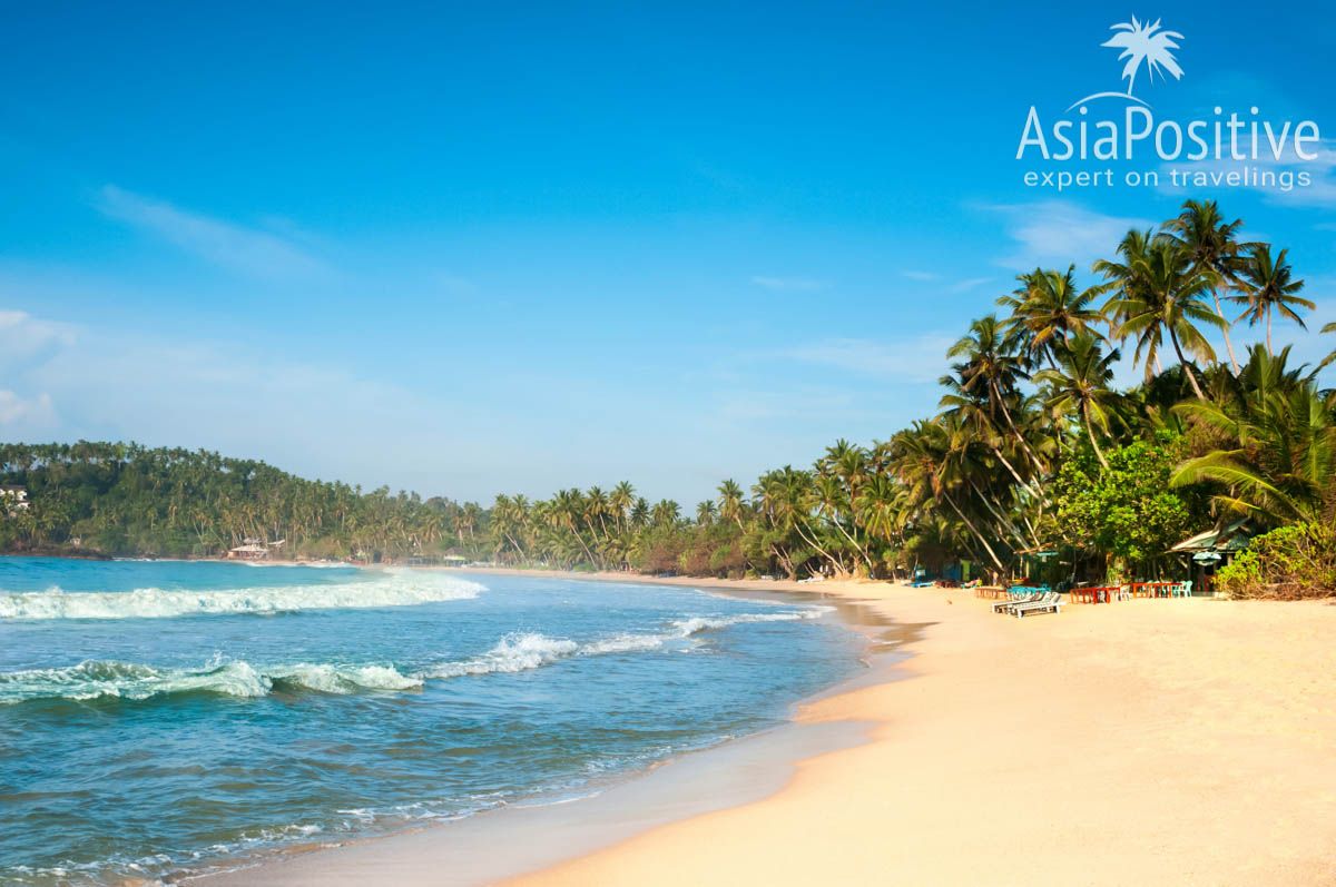 Пляжи Мирисса | Шри-Ланка