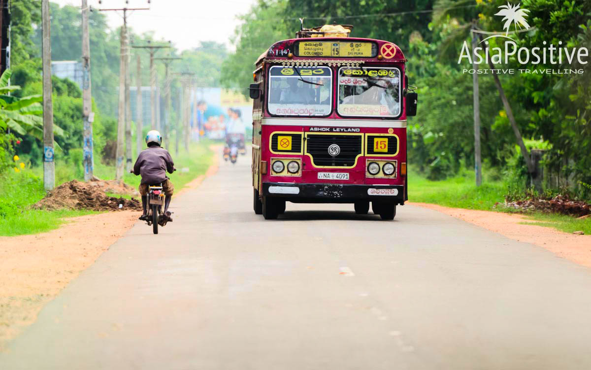 Главный на дороге - автобус | Основные типы транспорта для путешествий по Шри-Ланке с ценами, плюсами и минусами каждого из вариантов. | Транспорт для путешествий по Шри-Ланке | Путешествия по Азии с AsiaPositive.com