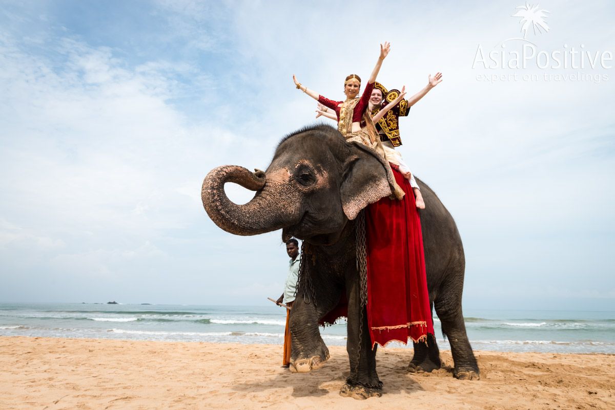 Свадебные фото на пляже на слоне - настоящая экзотика | Яркая свадьба на Шри-Ланке | Путешествия по Азии AsiaPositive.com