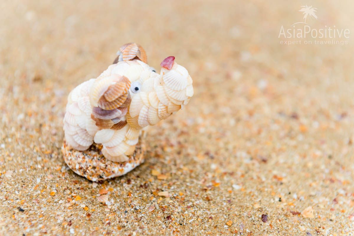 Сувенир из ракушек на пляже Ао Нанг (Краби, Таиланд) | Путешествия Asiapositive.com