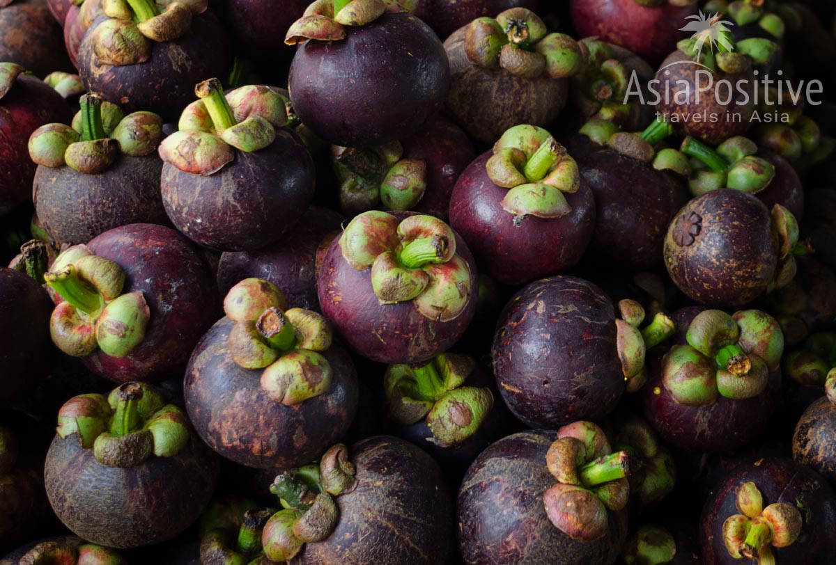 Мангустин фрукт — полезные свойства и противопоказания