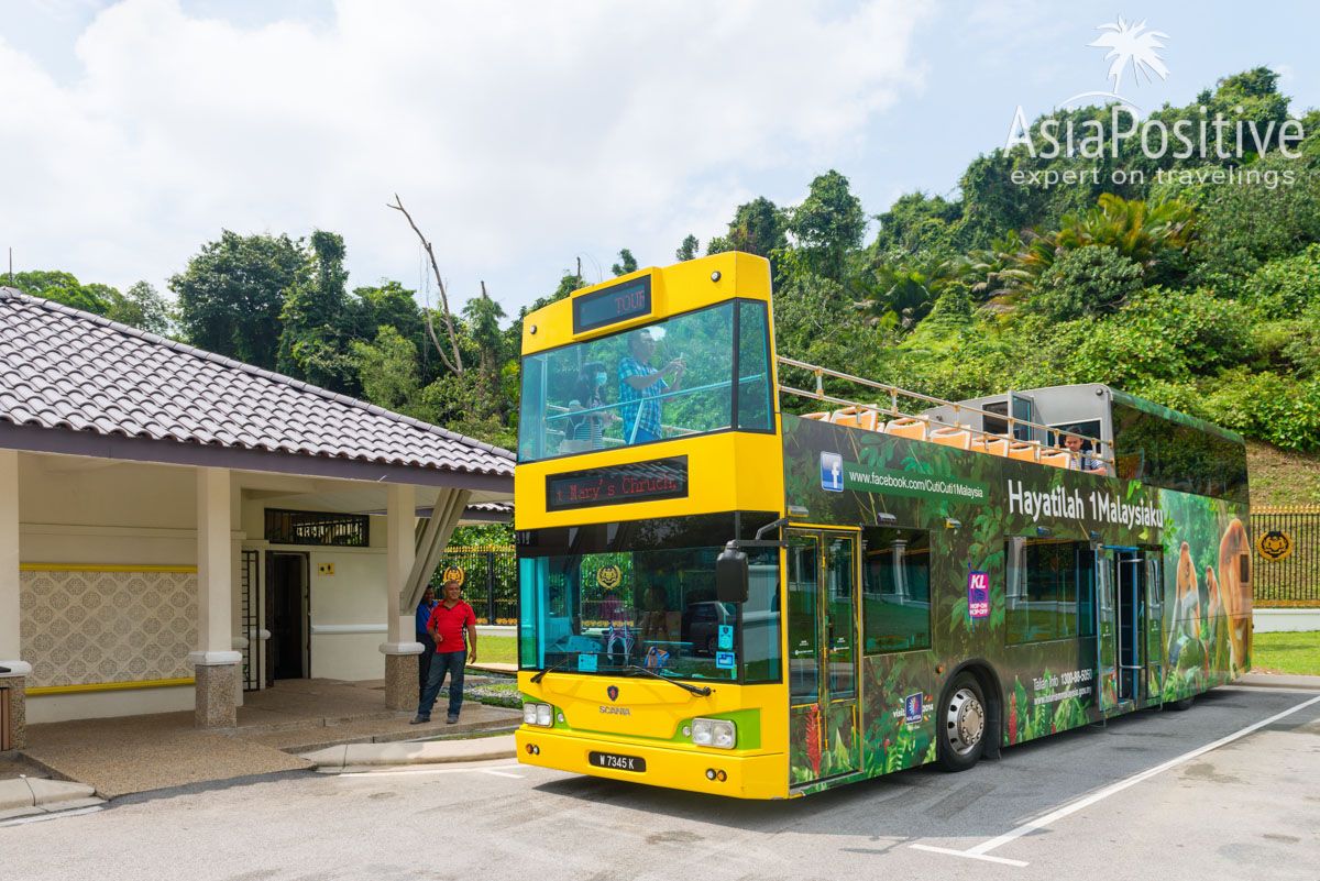Экскурсионный автобус KL Hop-On Hop-Off City Tour | Виды автобусов в Куала-Лумпуре, как ими пользоваться и как можно ездить на автобусе по достопримечательностям Куала-Лумпура бесплатно.| Автобусы в Куала-Лумпуре (Малайзия): рейсовые, туристические и бесплатные | Путешествия по Азии AsiaPositive.com