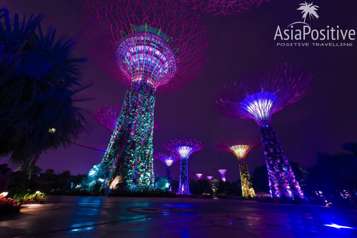 Достопримечательность Сингапура - парк Gardens by the Bay Супер-деревья в парке Gardens by the Bay - одной из самых посещаемых достопримечательности Сингапура | Эксперт по путешествиям AsiaPositive.com