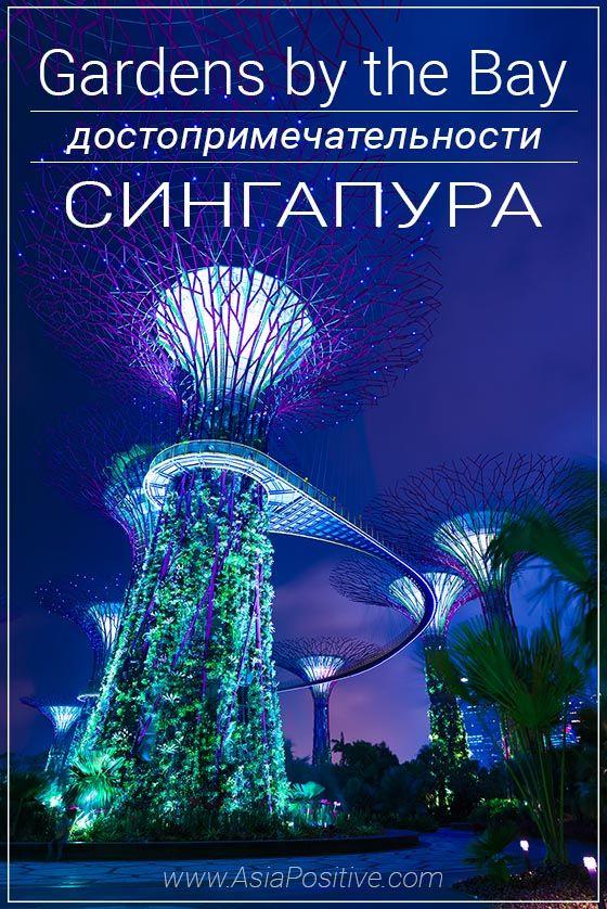 Достопримечательность Сингапура - парк Gardens by the Bay Тропический парк, который поражает воображение - Сады у залива | Сказочная достопримечательность Сингапура - парк Gardens by the Bay | Эксперт по путешествиям AsiaPositive.com