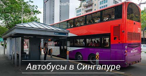Автобусы в Сингапуре: рейсовые и туристические