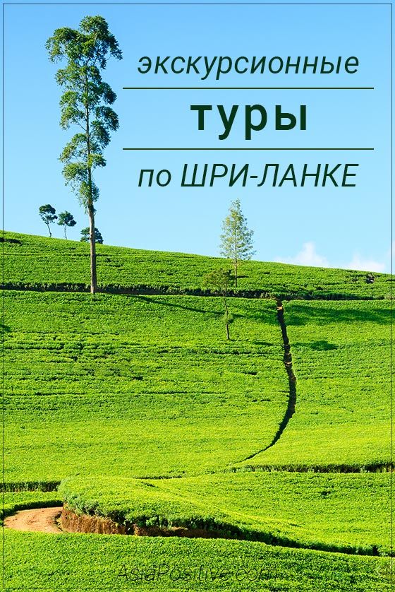 Экскурсионные туры по Шри-Ланке: стоимость и варианты туров Как спланировать или забронировать интересный экскурсионный тур по Шри-Ланке по самым интересным достопримечательностям острова: цены на туры и от чего зависит стоимость тура. | Экскурсионные туры по Шри-Ланке: стоимость и варианты туров | Эксперт по путешествиям AsiaPositive.com