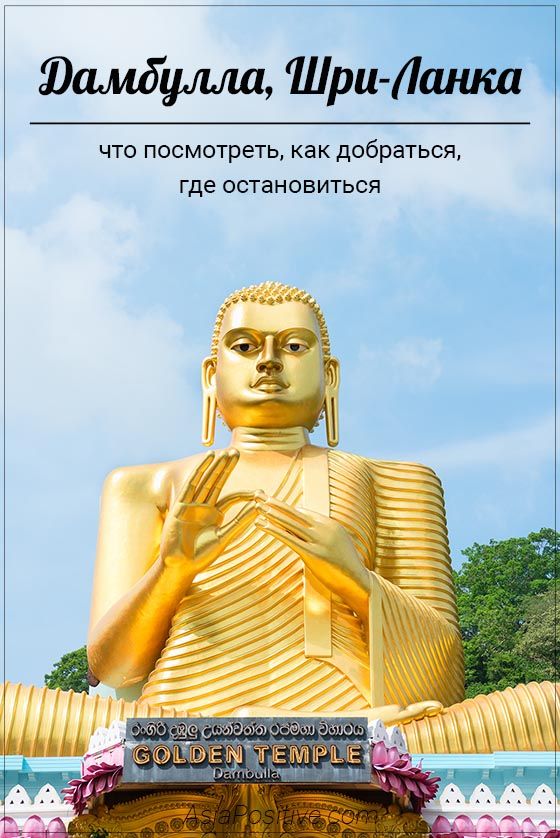 Дамбулла (Шри-Ланка): что посмотреть, как добраться, где остановиться Что стоит посмотреть в Дамбулле кроме знаменитого Золотого Пещерного Храма, где Дамбулла находится на карте Шри-Ланки, информация о транспорте и подборка лучших отелей Дамбуллы на любой бюджет| Дамбулла (Шри-Ланка): что посмотреть, как добраться, где остановиться | Путешествия по Азии AsiaPositive.com