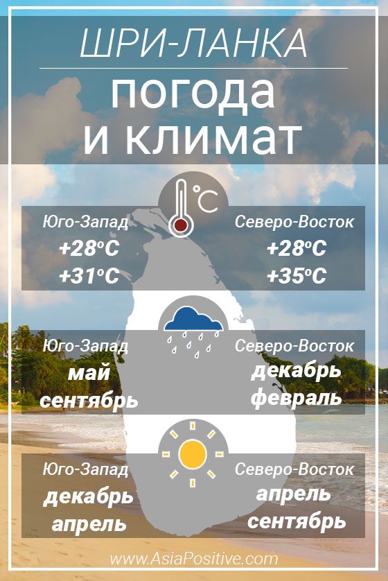 Отдых на Шри-Ланке. Погода и климат. Инфографика погоды для планирования отдыха на Шри-Ланке | Погода и климат Шри-Ланки | Позитивные путешествия AsiaPositive.com