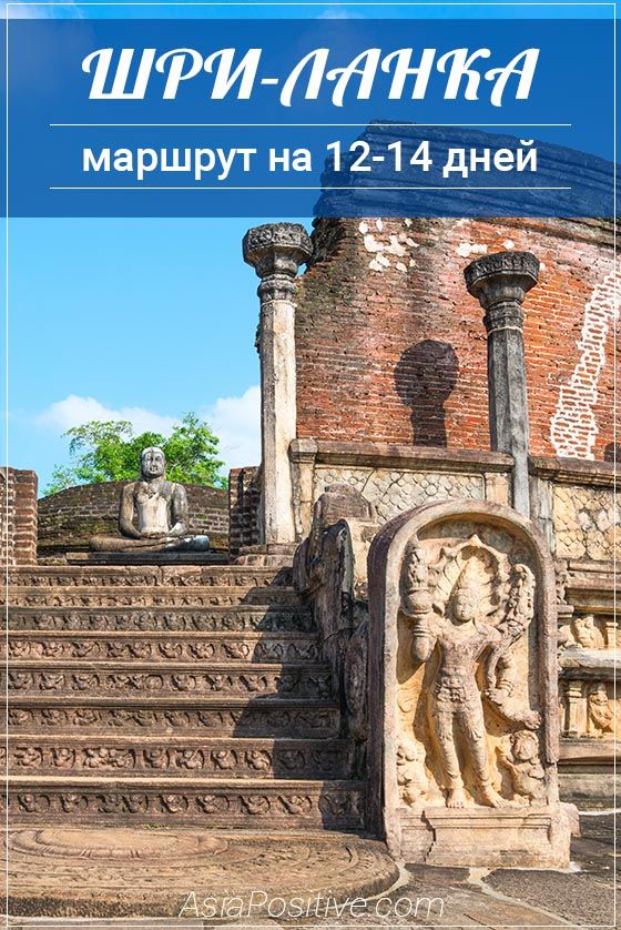 Маршрут по самым интересным местам Шри-Ланки на 12-14 дней Детальный план - маршрут для 7 дней поездки по самым интересным достопримечательностям и самым красивым местам Шри-Ланки плюс 5-7 дней пляжного отдыха. | Маршрут по самым интересным местам Шри-Ланки на 12-14 дней | Путешествия по Азии с AsiaPositive.com