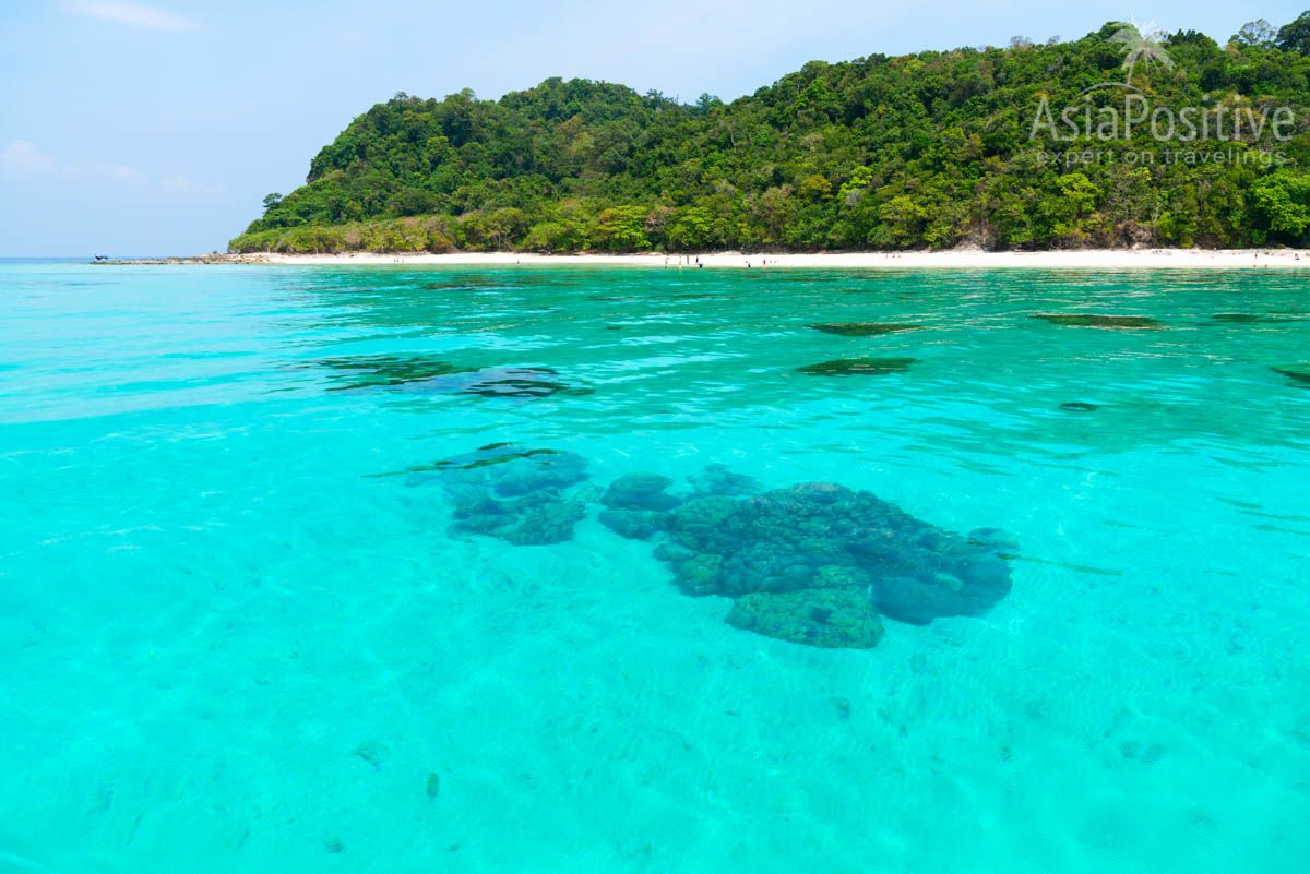 Koh Rok island looks as paradise on the earth | The best places to go in Krabi (Thailand) | Travel and leisure with Asiapositive.com