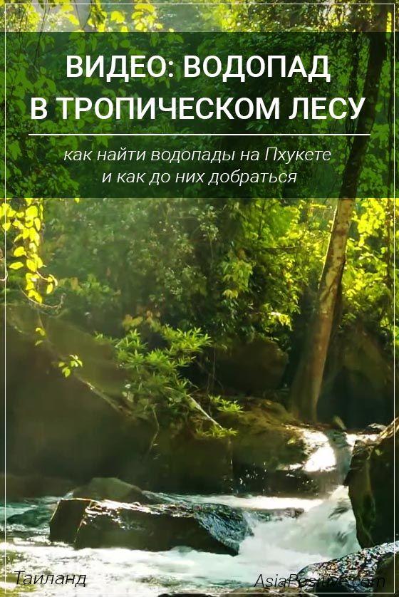 Видео с водопада в тропическом лесу на Пхукете Как найти водопады на Пхукете и как до них добраться, видео с прогулки по тропическому лесу с водопадами. | Таиланд | Путешествия по Азии с AsiaPositive.com