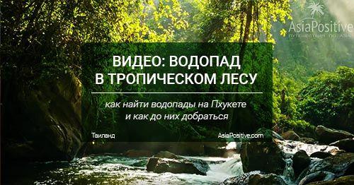 Видео с водопада в тропическом лесу на Пхукете