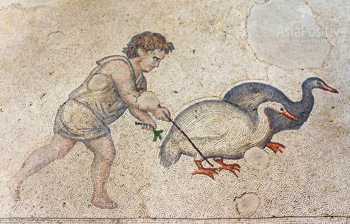 A Byzantine boy and two geeses | The Great Palace of Constantinople Mosaics Museum is a landmark in Istanbul