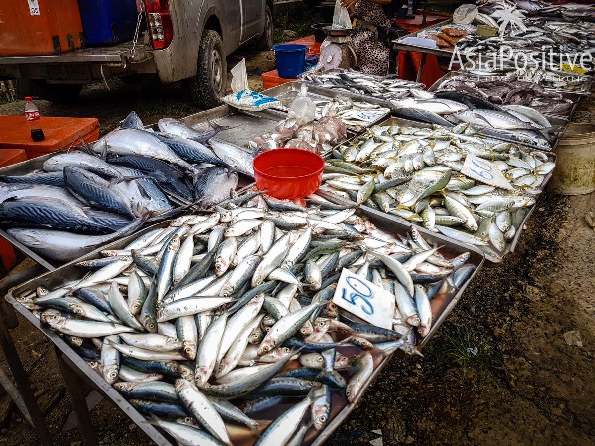 Рынки Пхукета: где и как покупать свежие морепродукты, и фрукты | Рыбный ассортимент на сегодня