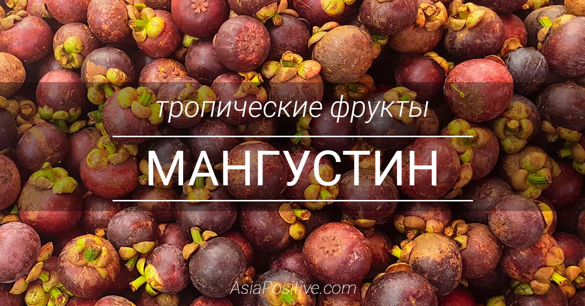Тропический вкусный фрукт мангустин: как правильно выбирать и покупать, чистить и хранить мангустины. | Справочник туриста и интересные факты об Азии | Эксперт по путешествиям AsiaPositive.com