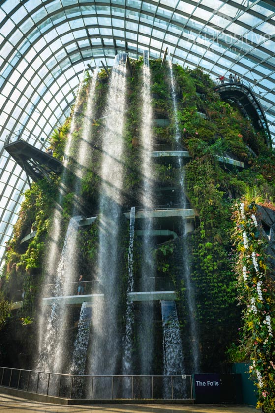 Водопад под куполом оранжереи Cloud Forest в Gardens by the Bay | Детальный маршрут по Сингапуру на 2 дня - посетить самые интересные места и посмотреть самые незабываемые достопримечательности Сингапура за 48 часов. | Что посмотреть в Сингапуре за 2 дня