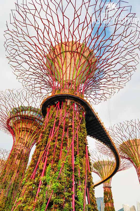 Супер деревья | Тропический парк, который поражает воображение - Сады у залива | Сказочная достопримечательность Сингапура - парк Gardens by the Bay 
