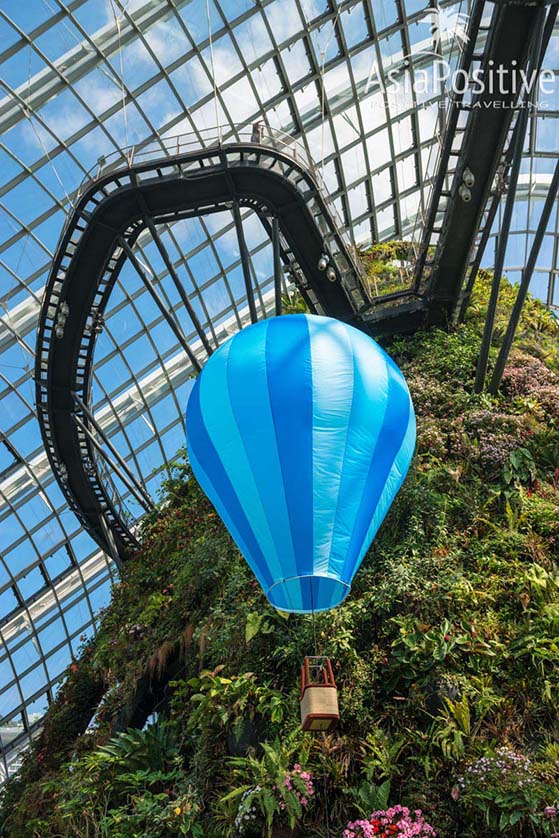 Дорожка под куполом | Тропический парк, который поражает воображение - Сады у залива | Сказочная достопримечательность Сингапура - парк Gardens by the Bay