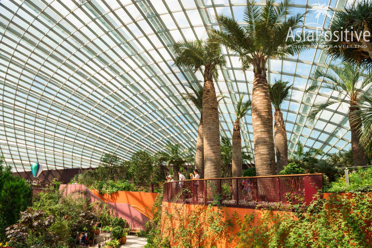 Коллекция экзотических растений под стеклянной крышей Flower dome | Достопримечательность Сингапура - парк Gardens by the Bay