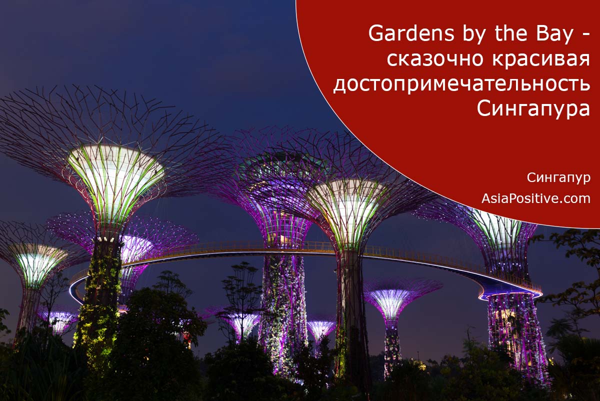 Тропический парк, который поражает воображение - Сады у залива | Достопримечательность Сингапура - парк Gardens by the Bay