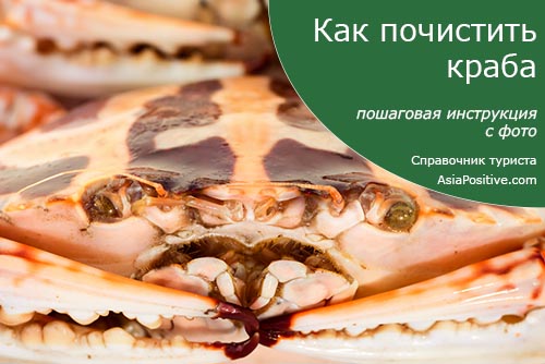 Как почистить свежего краба