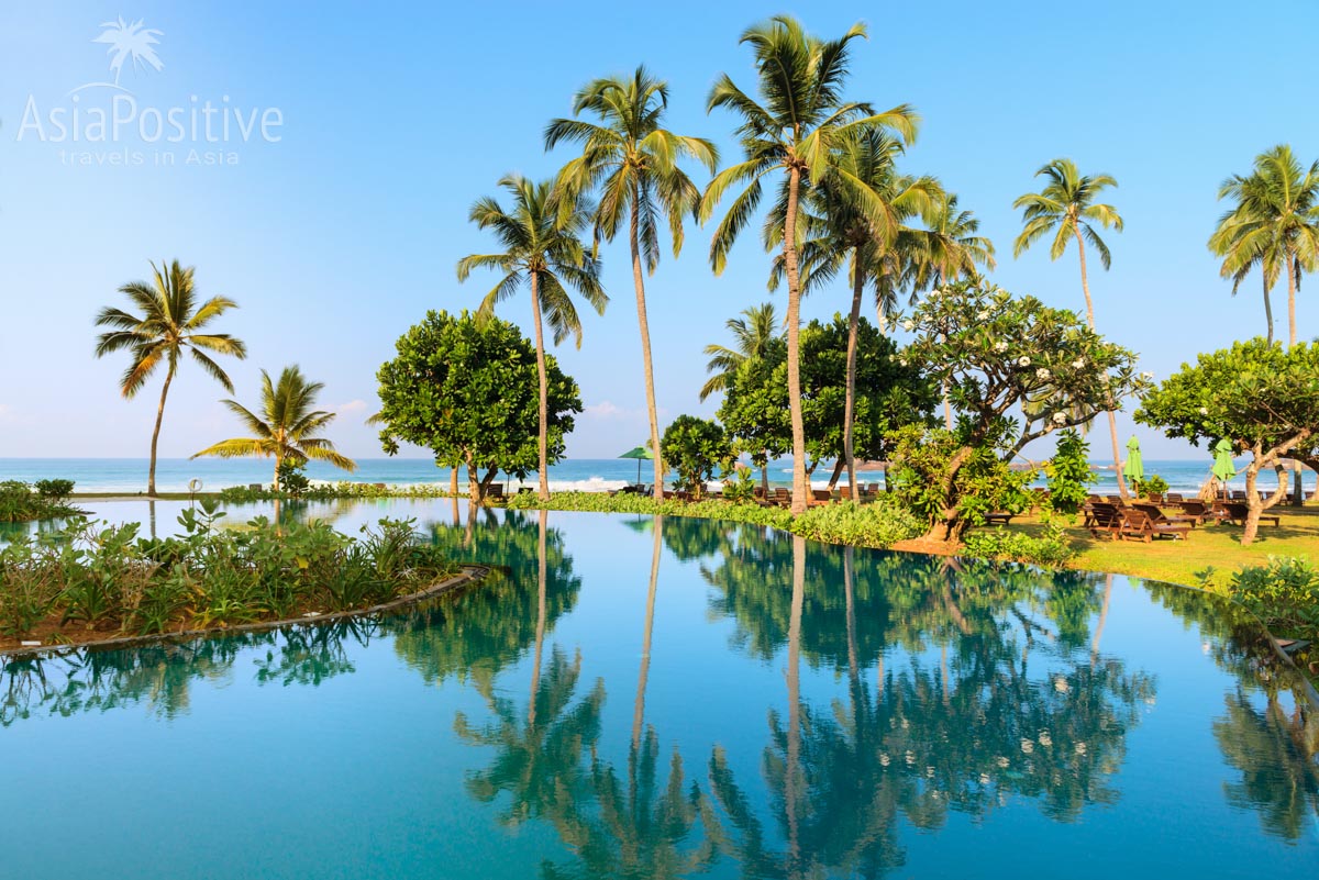 Отель в Хиккадуве на берегу | Шри-Ланка | Путешествия с AsiaPositive.com
