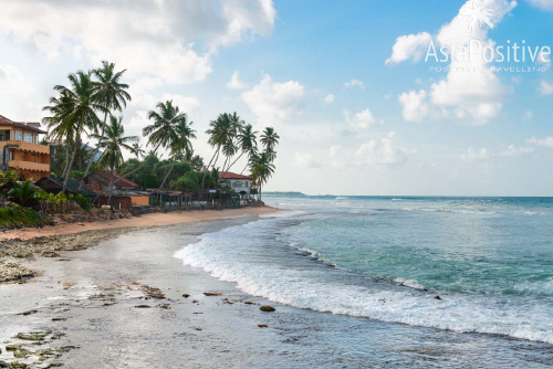 How to stay safe and enjoy your trip to Sri Lanka 