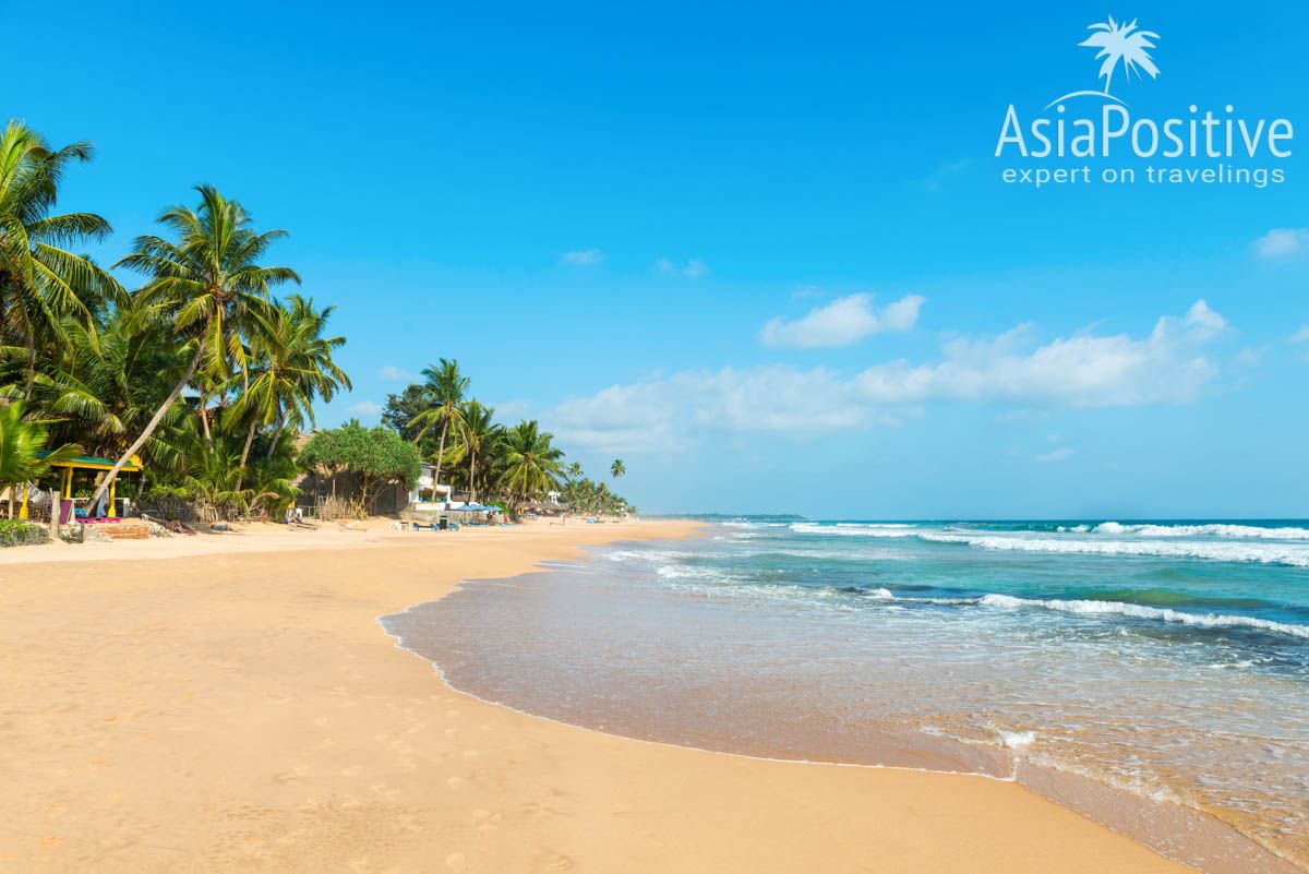 Хиккадува - один из самых популярных и красивых курортов Шри-Ланки | Детальный план - маршрут для самостоятельного путешествия по самым интересным достопримечательностям и самым красивым местам Шри-Ланки и пляжного отдыха на 2 недели (12-14 дней). | Путешествия по Азии AsiaPositive.com