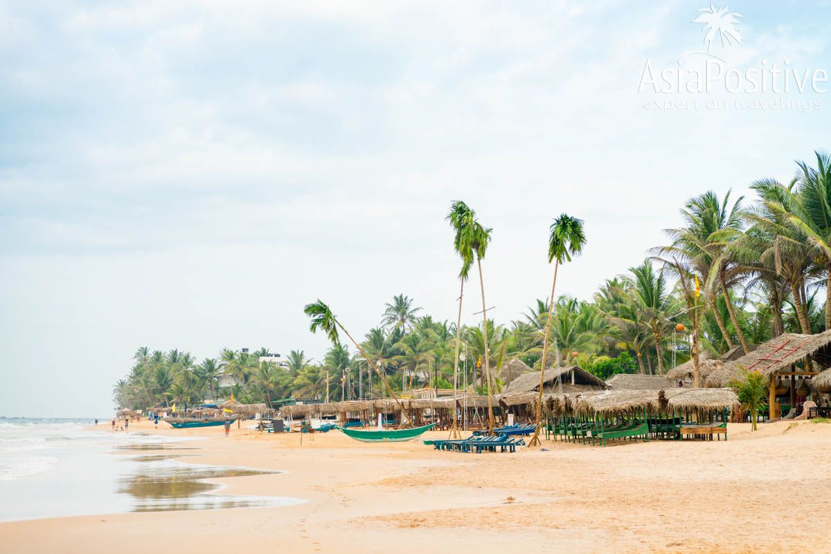 Hotels, restaurants and bars on Hikkaduwa beach