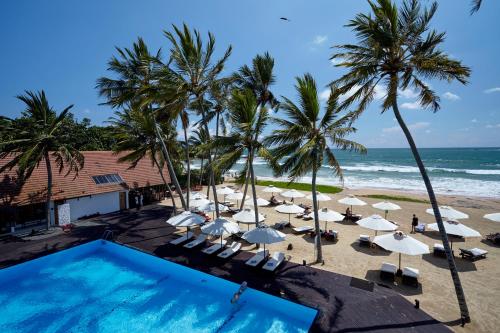 Echo Surf | Карантинные отели Шри-Ланки с пляжем для отдыха на море