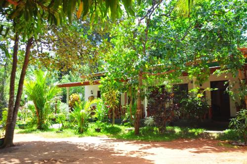 Sigiri Rock Side Home Stay  | Где остановиться в Сигирии