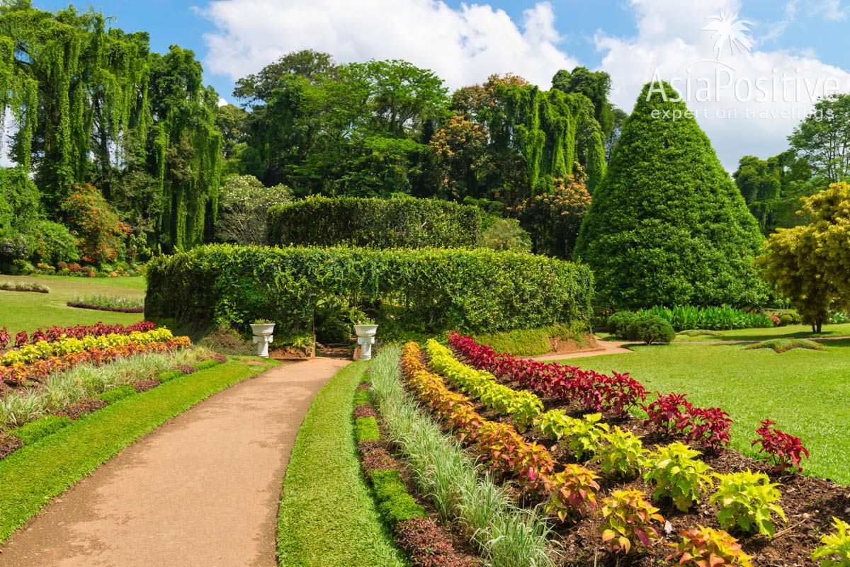 Королевский ботанический сад возле Канди | Маршрут путешествия по Шри-Ланке | Путешествия AsiaPositive.com