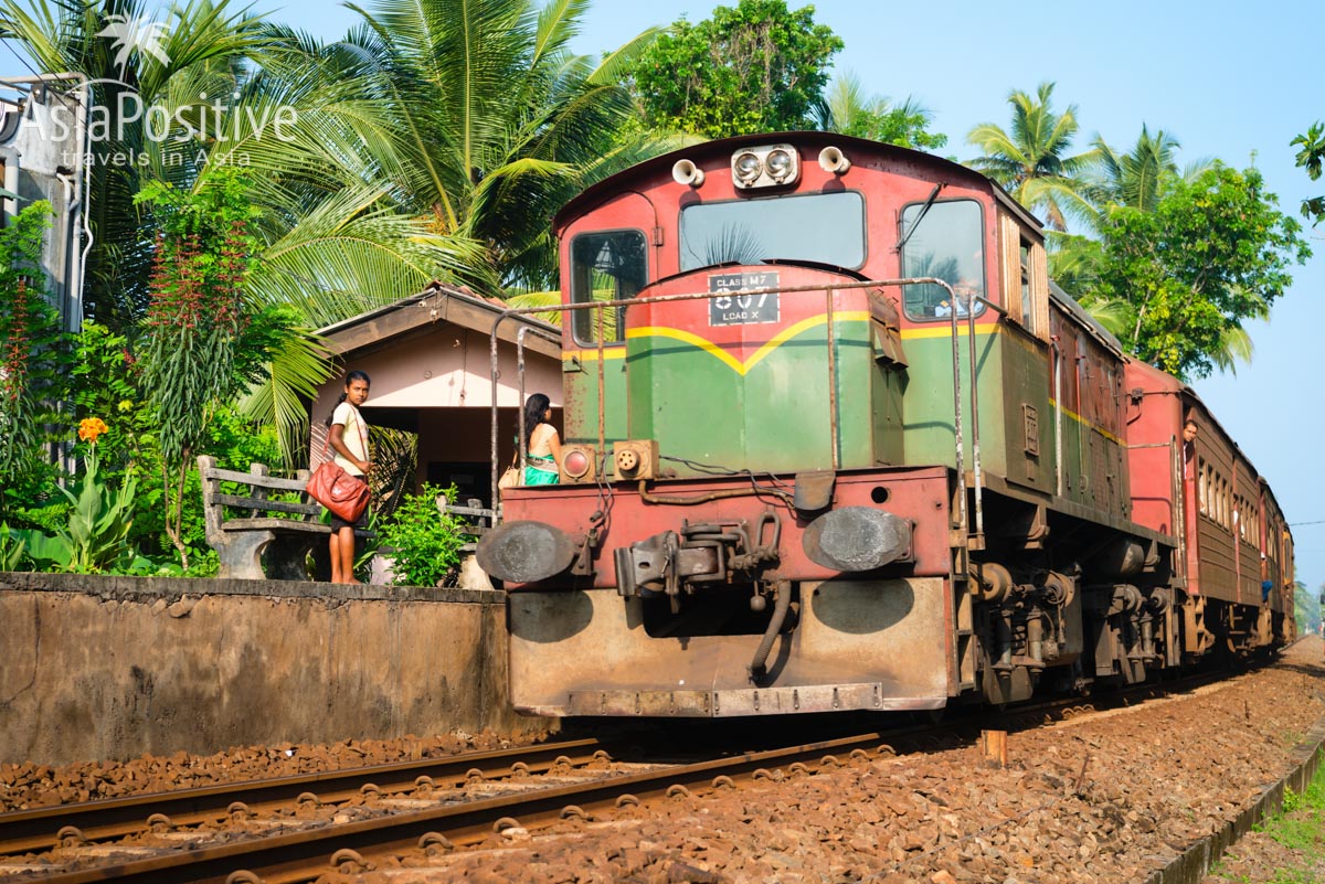 Как узнать расписание и заранее купить билеты на самые популярные поезда по Шри-Ланке. | Путешествия по Азии с AsiaPositive.com