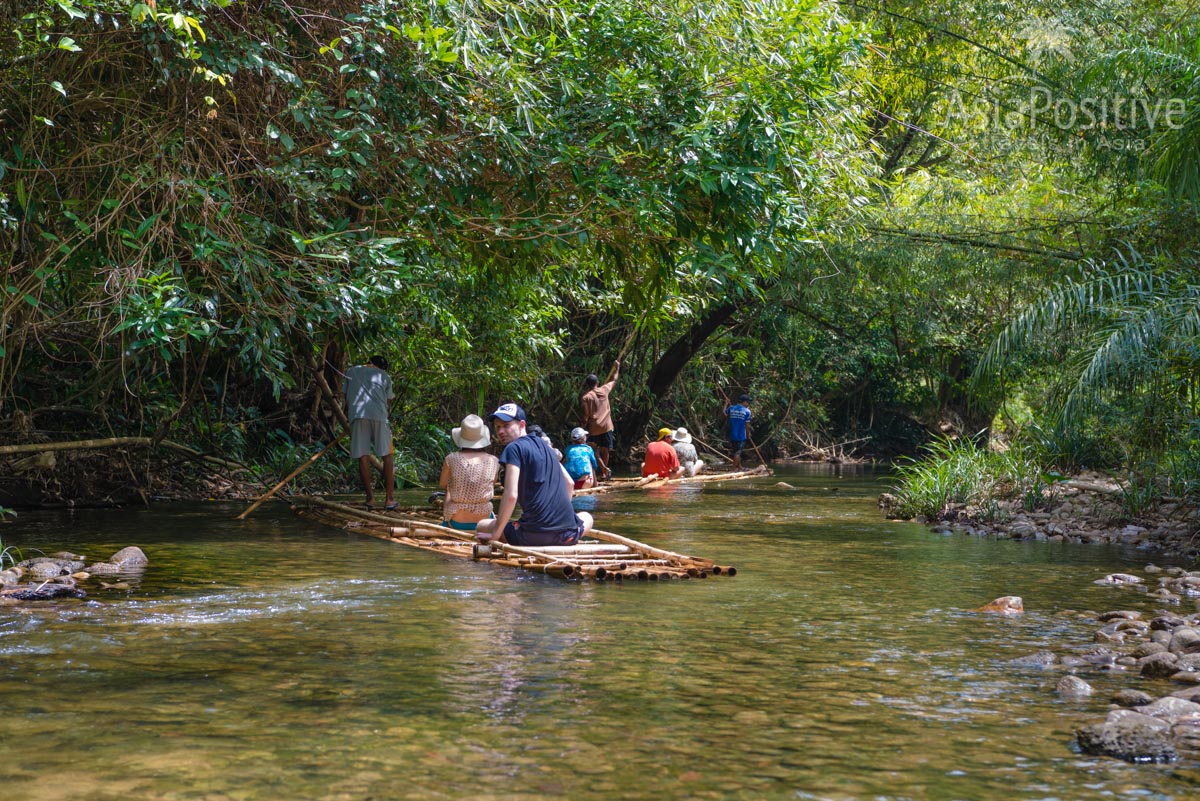 Сплав на бамбуковых плотах | Экскурсия с Пхукета в Као Лак | Таиланд с AsiaPositive.com