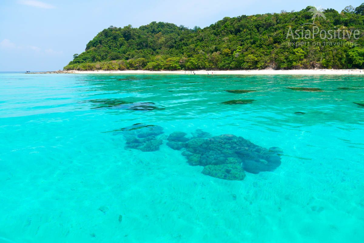 Corals and the sea near Koh Rok Island