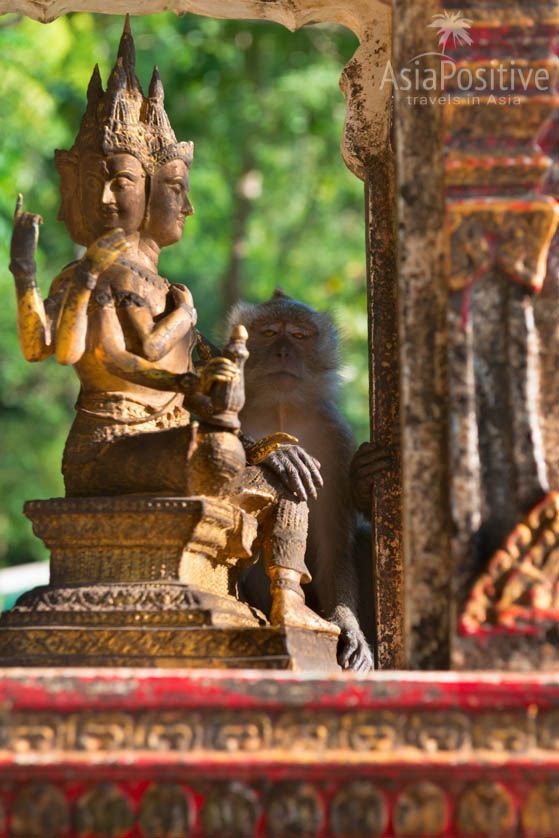 Статуя индуистского бога - творца Брахмы | Храм Пещера Тигра в Краби, Таиланд | Путешествия по Азии с AsiaPositive.com