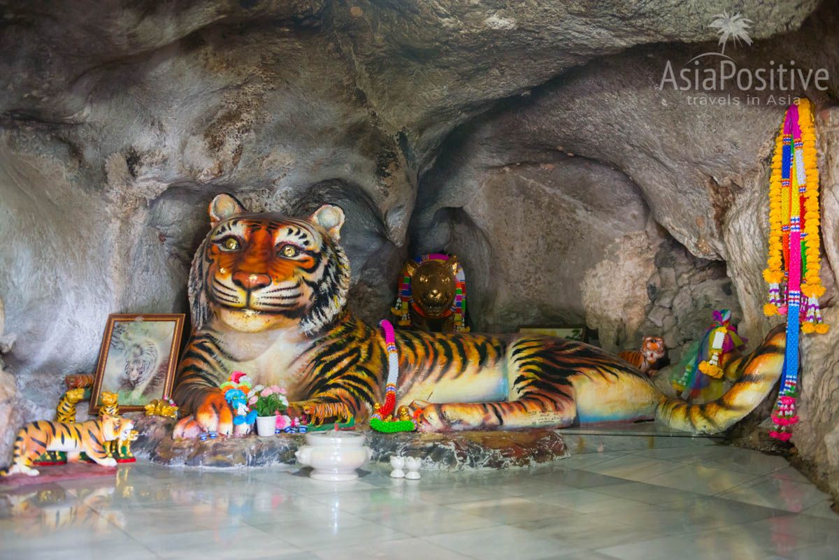 Крошечная пещера тигра | Wat Tham Seua (Tiger Cave Temple) | Путешествия с AsiaPositive.com