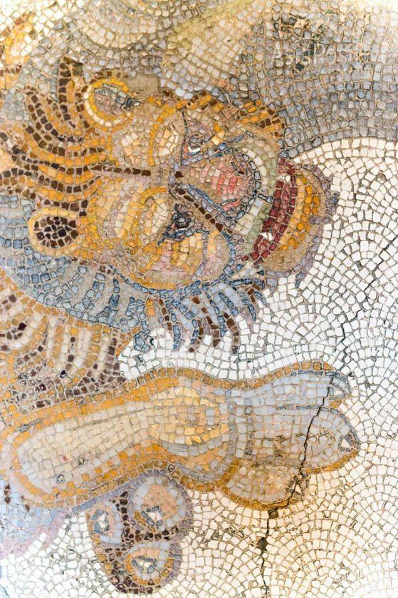 Мозаичный лев крупным планом (Музей Мозаики в Стамбуле)
