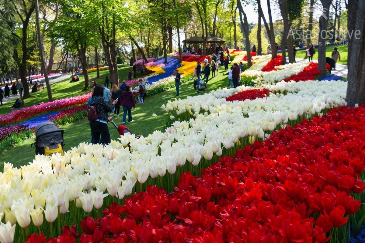 Стамбул в апреле: парк Эмирган