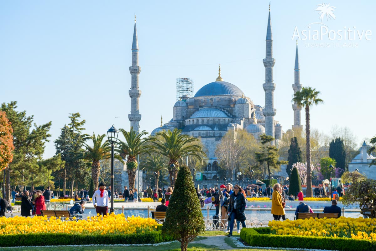 Стамбул в мае, стоит ли ехать | Путешествия и отдых в Турции