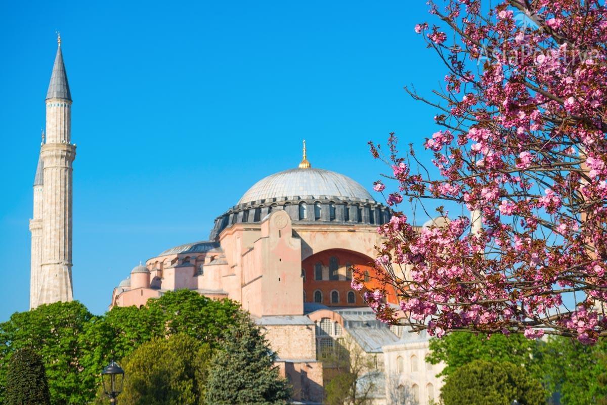 Весенний Стамбул полон цветов