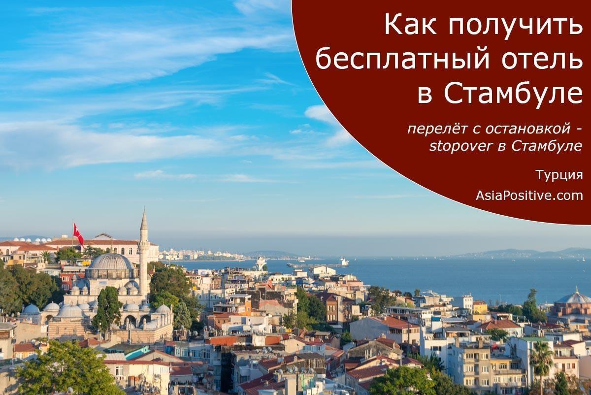 Как получить бесплатный отель в Стамбуле | Турция | Путешествия с AsiaPositive.com