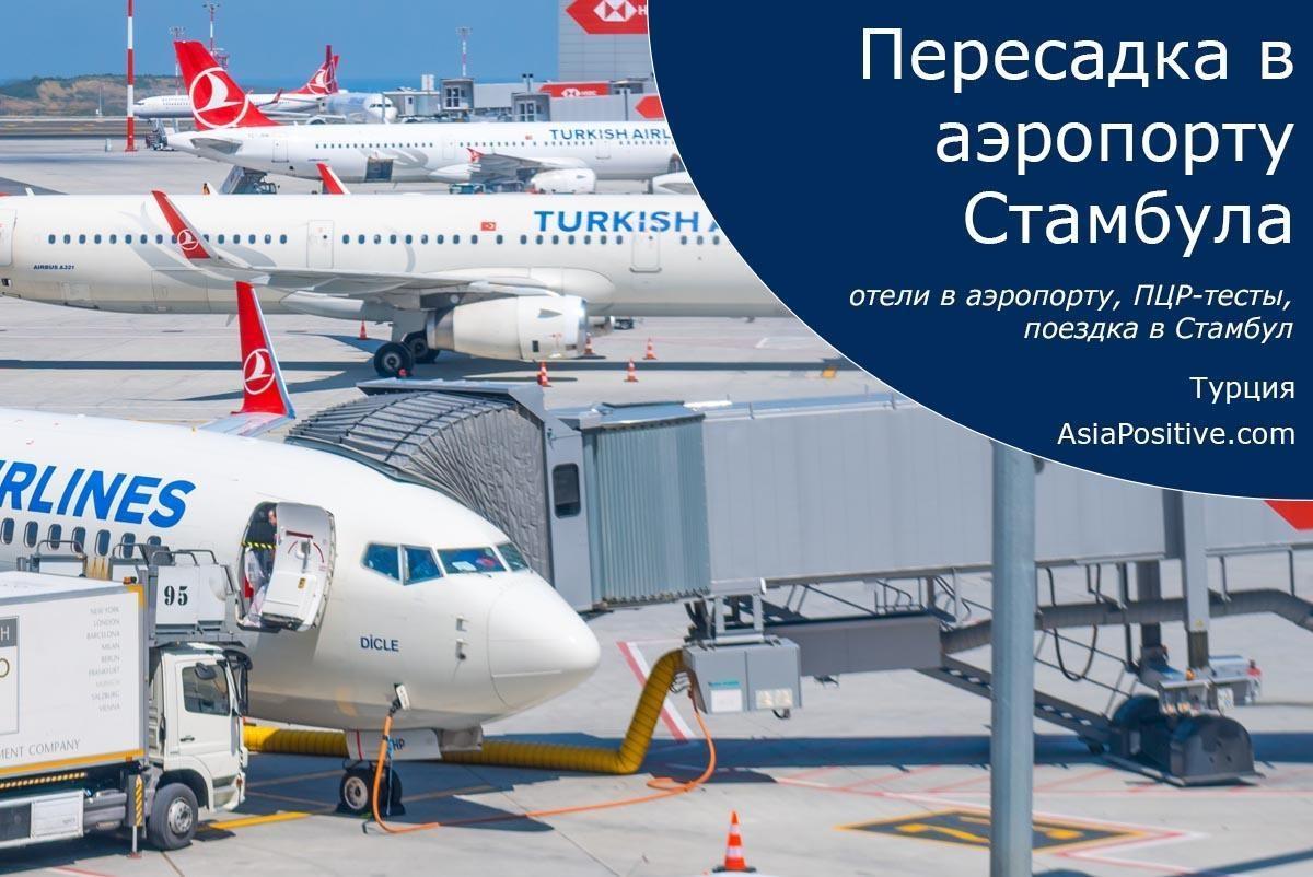 Пересадка в аэропорту Стамбула | как забронировать отель в аэропорту, как успеть съездить в Стамбул |  Турция | Путешествия с AsiaPositive.com