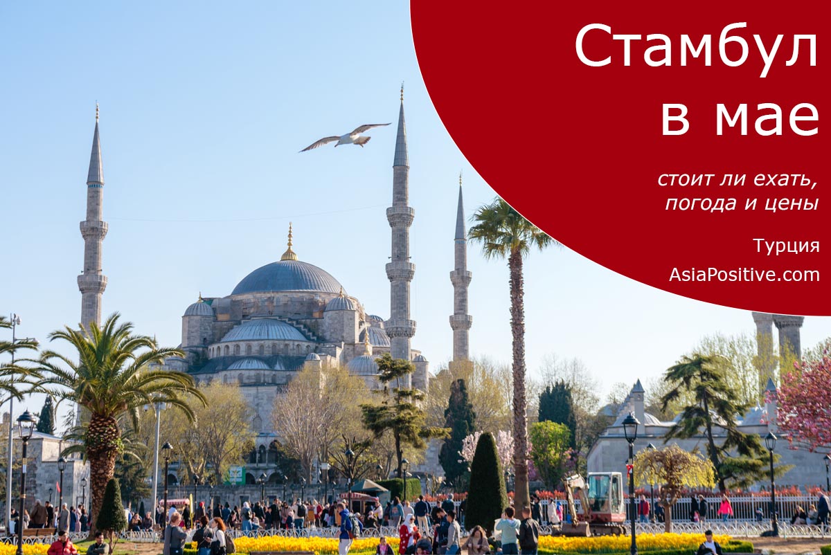 Стамбул в мае, стоит ли ехать | Путешествия и отдых в Турции